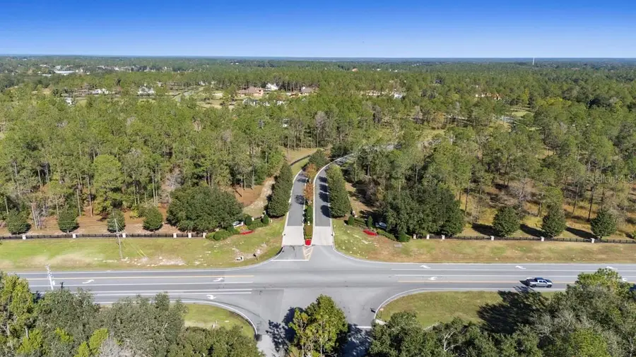 24238 Deep Springs Loop, Eustis, FL 32736 - Image #2