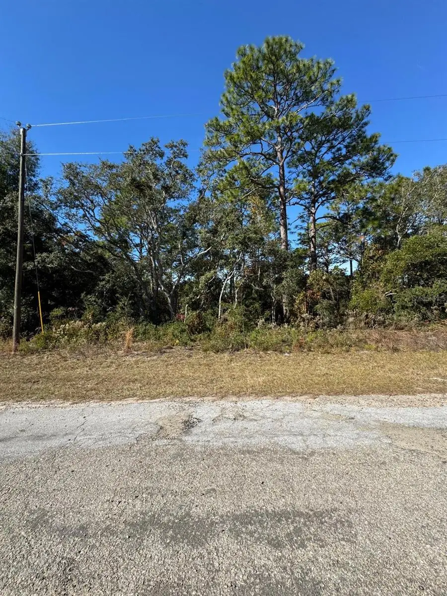 9066 N Burmany Way #6, Citrus Springs, FL 34433 - Image #3