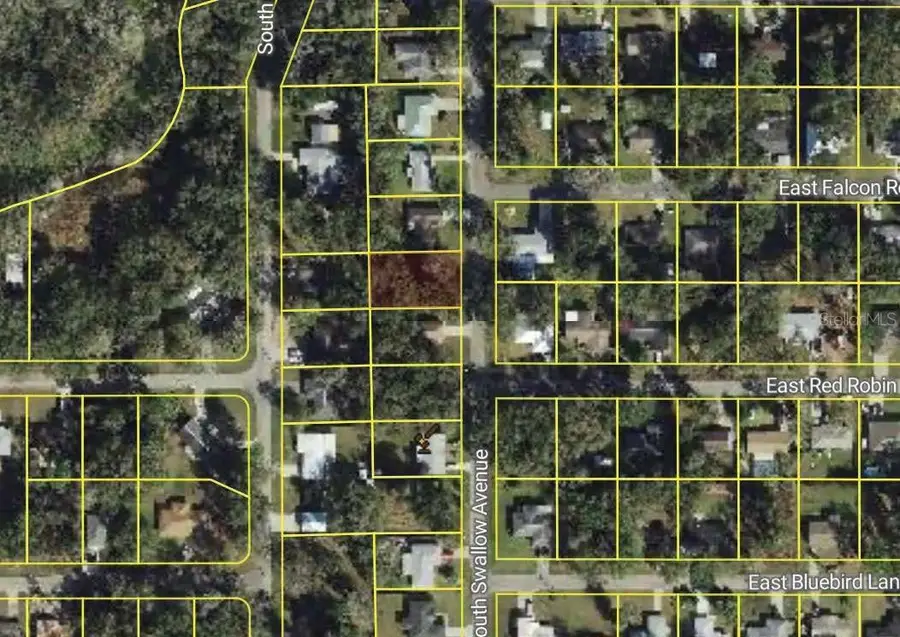 5136 S Swallow Avenue, Inverness, FL 34452 - Image #2