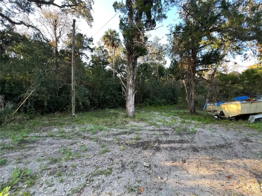 26251 E Colonial Drive, Christmas, FL 32709 - #3