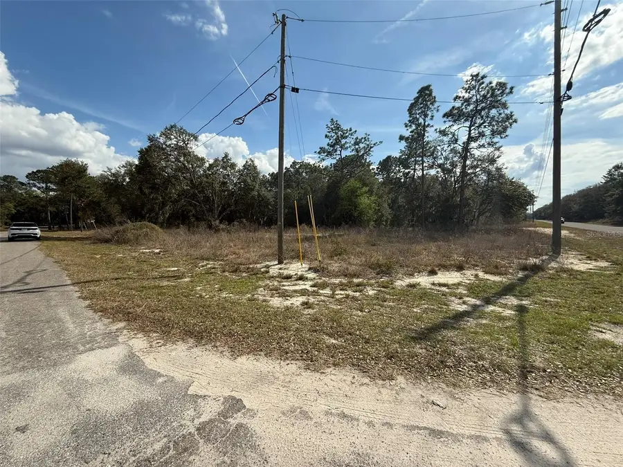 11745 Orange Road, Ocklawaha, FL 32179 - #2