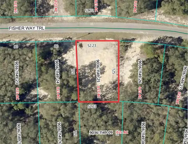 26 Fisher Way Trail, OCKLAWAHA, FL 32179
