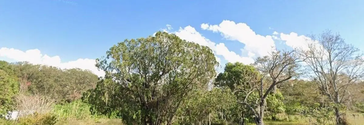 1362 Avalon Road, Winter Garden, FL 34787 - Image #1