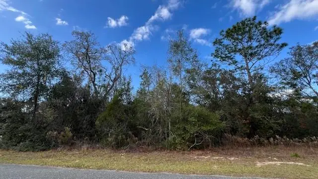 141 W Ruska Place, Citrus Springs, FL 34434 - #2