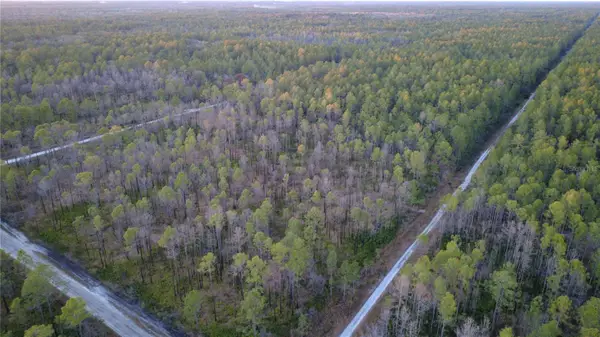 Address Withheld By Seller, HASTINGS, FL 32145