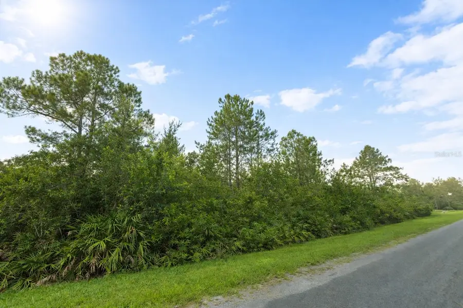 18715 Sodbury Street, Orlando, FL 32833 - Image #2