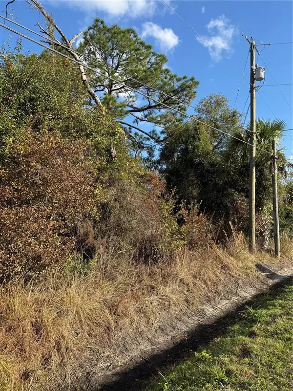 Padrick Avenue, DELAND, FL 32720