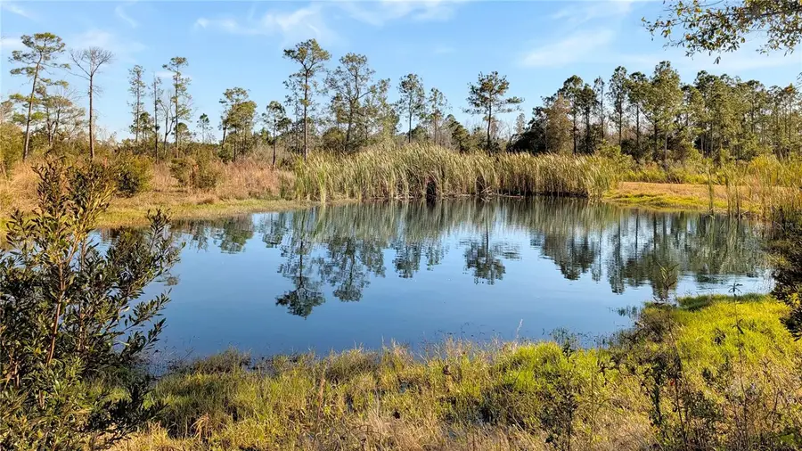 23545 Bishop Avenue, Christmas, FL 32709 - #2