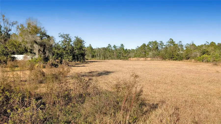 23545 Bishop Avenue, Christmas, FL 32709 - #3