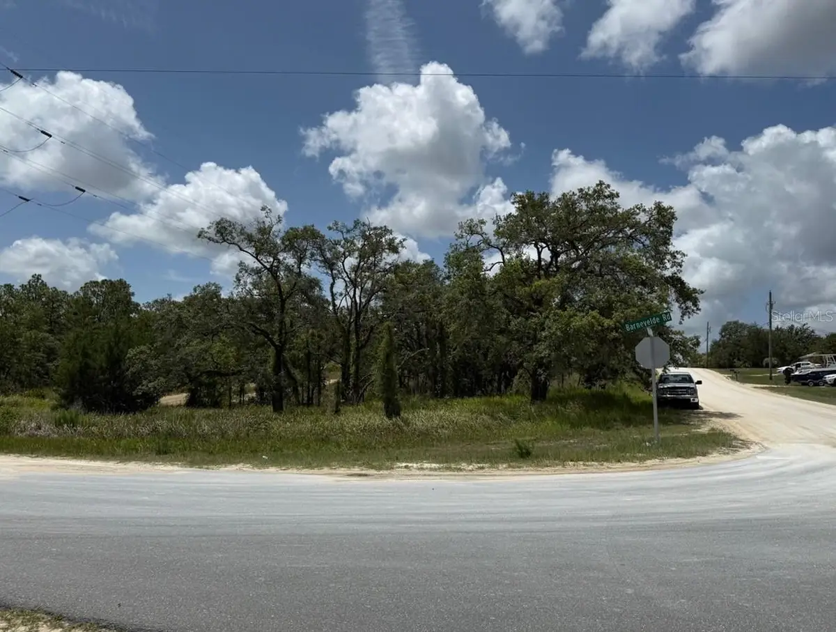 12470 Barnevelde Road, Weeki Wachee, FL 34614 - Image #1