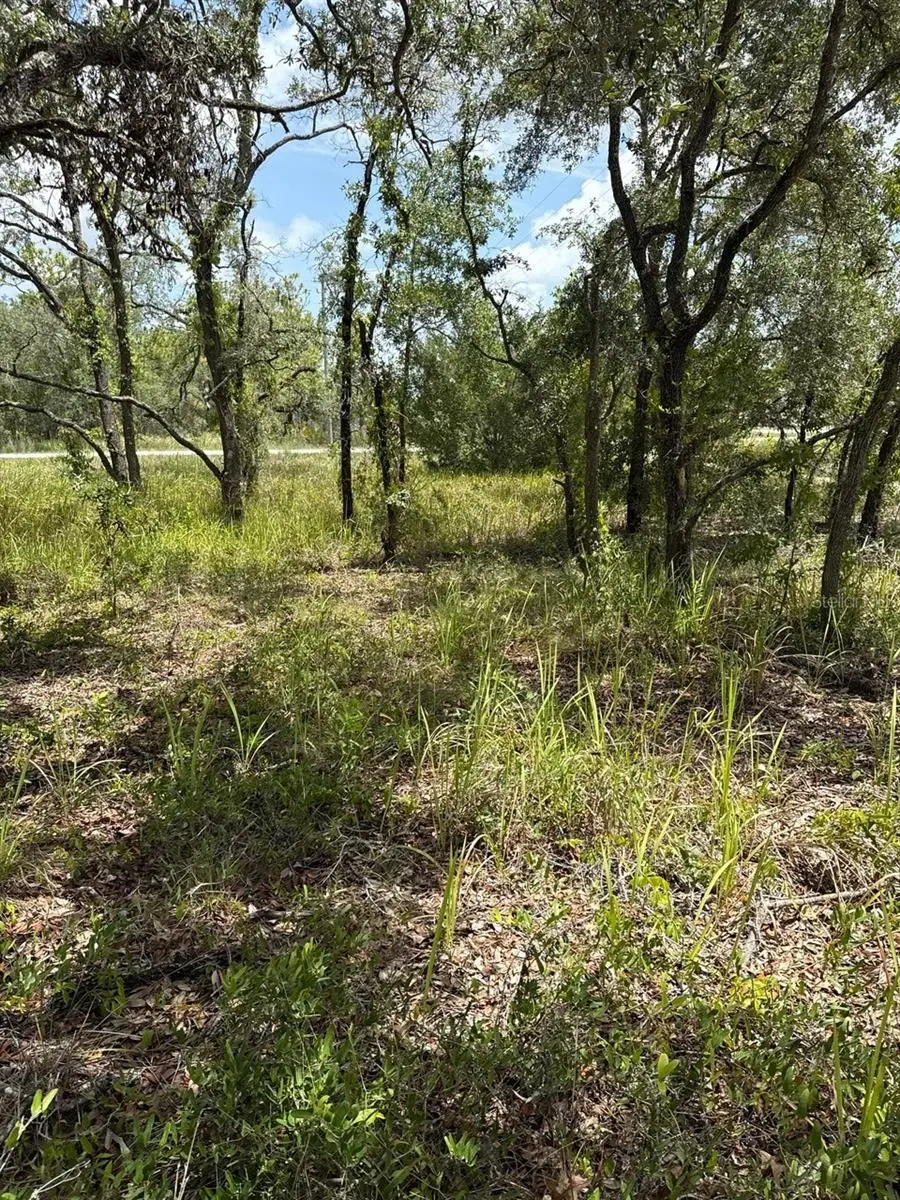 12470 Barnevelde Road, Weeki Wachee, FL 34614 - Image #3