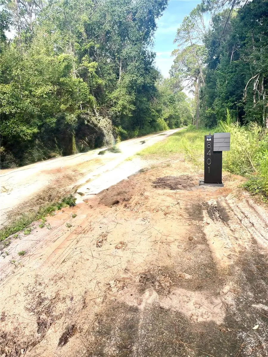 8401 Amelia Trail, Kissimmee, FL 34747 - #3