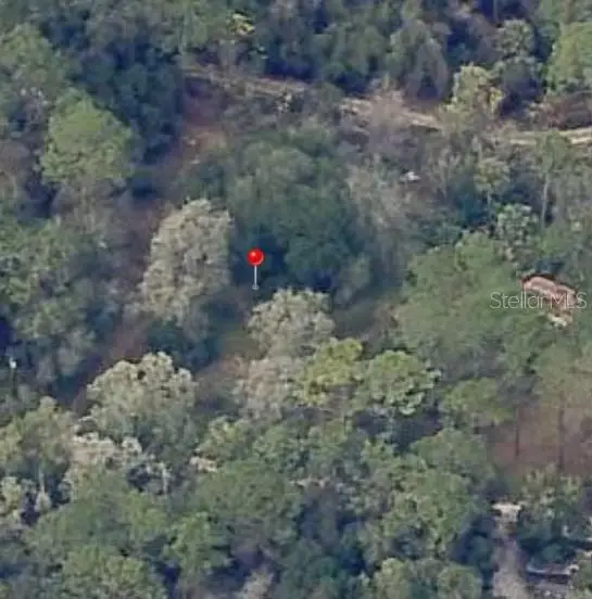 18901 SE 93rd Street, Ocklawaha, FL 32179 - Image #1