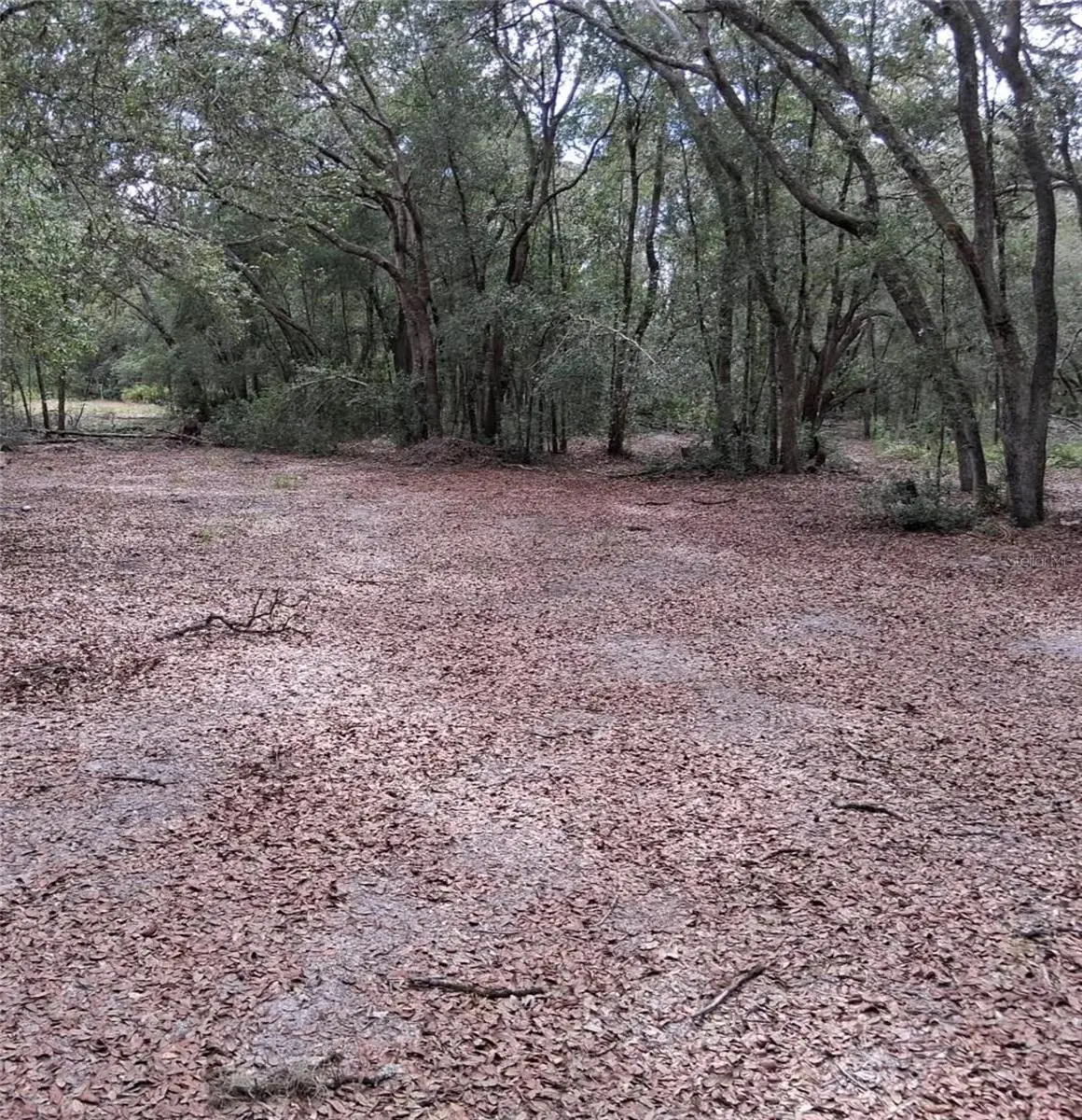 33174 Tombstone Street, Webster, FL 33597 - Image #1