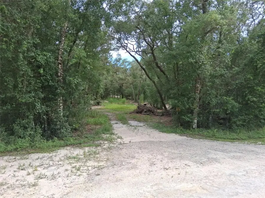 33174 Tombstone Street, Webster, FL 33597 - Image #3