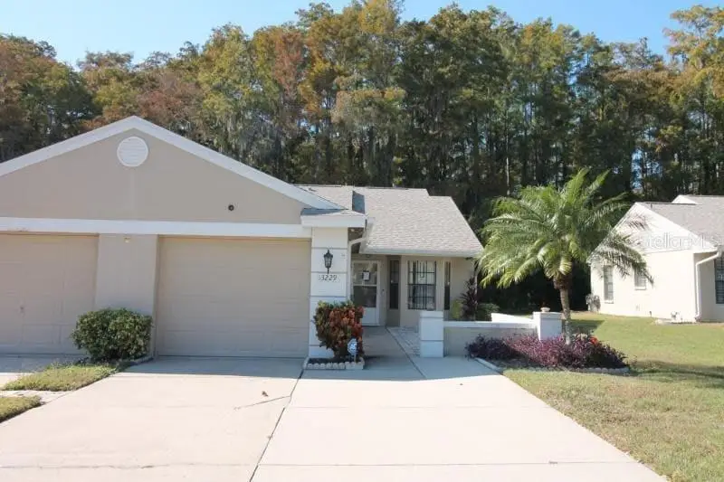 13229 Molitor Court, Hudson, FL 34669 - Image #1
