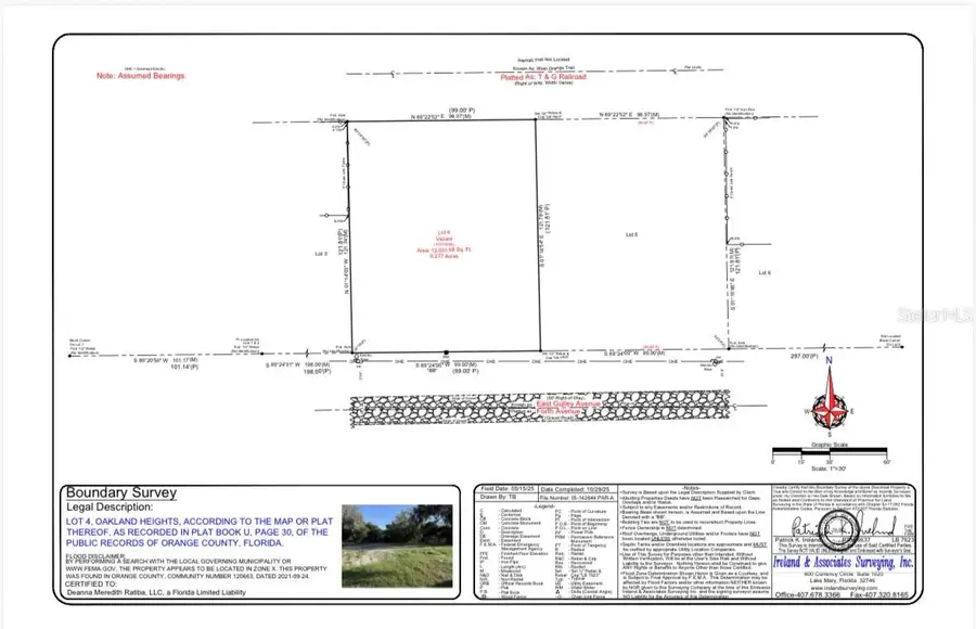 321 E Gulley Avenue, Oakland, FL 34760 - Image #2