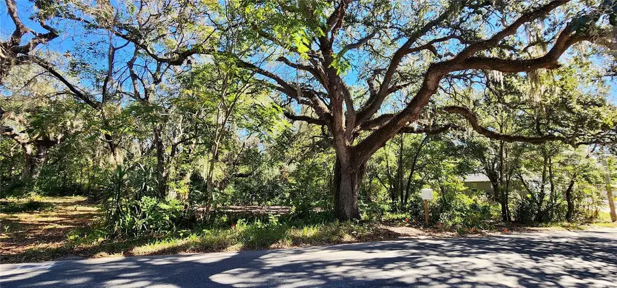 1016 Nebraska Street, Leesburg, FL 34748 - Image #2