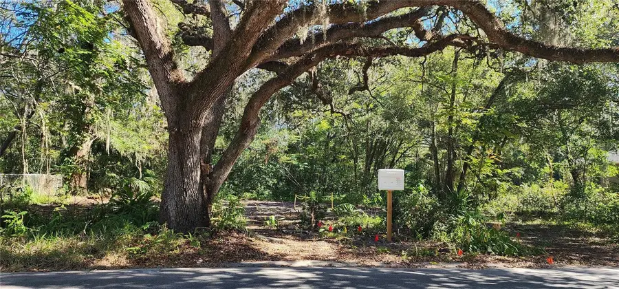 1016 Nebraska Street, Leesburg, FL 34748 - Image #3