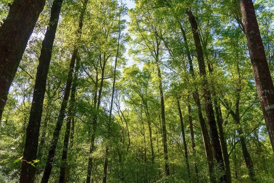 TBD 10th Terrace, Live Oak, FL 32060 - Image #3