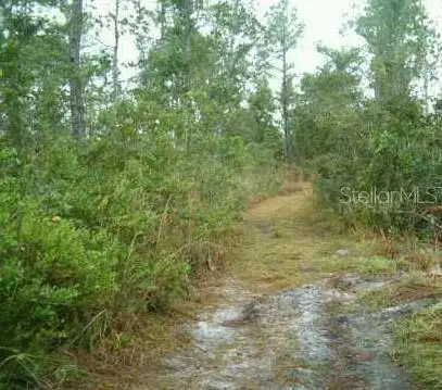 1890 Dill Road, ORLANDO, FL 32820