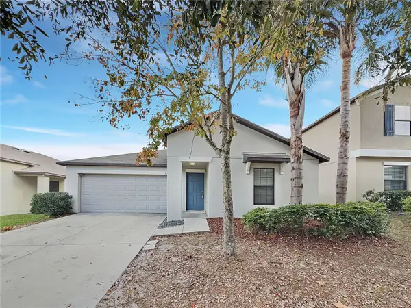 10113 Rosemary Leaf Lane, RIVERVIEW, FL 33578