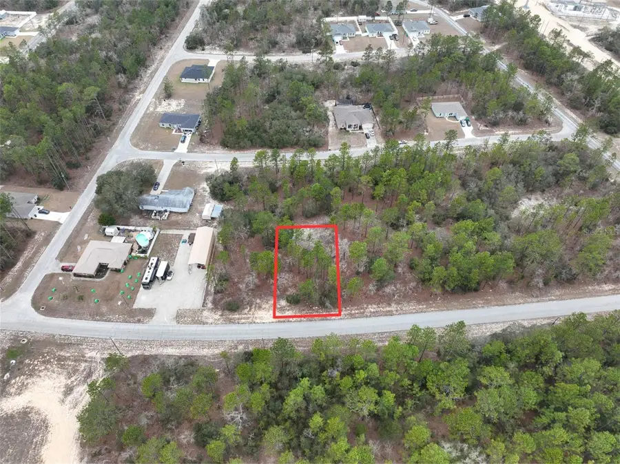 9844 N Emellia Avenue, Citrus Springs, FL 34433 - #3