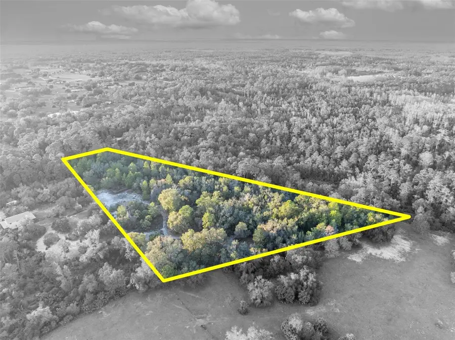 Willow Pond Lane, Geneva, FL 32732 - Image #3