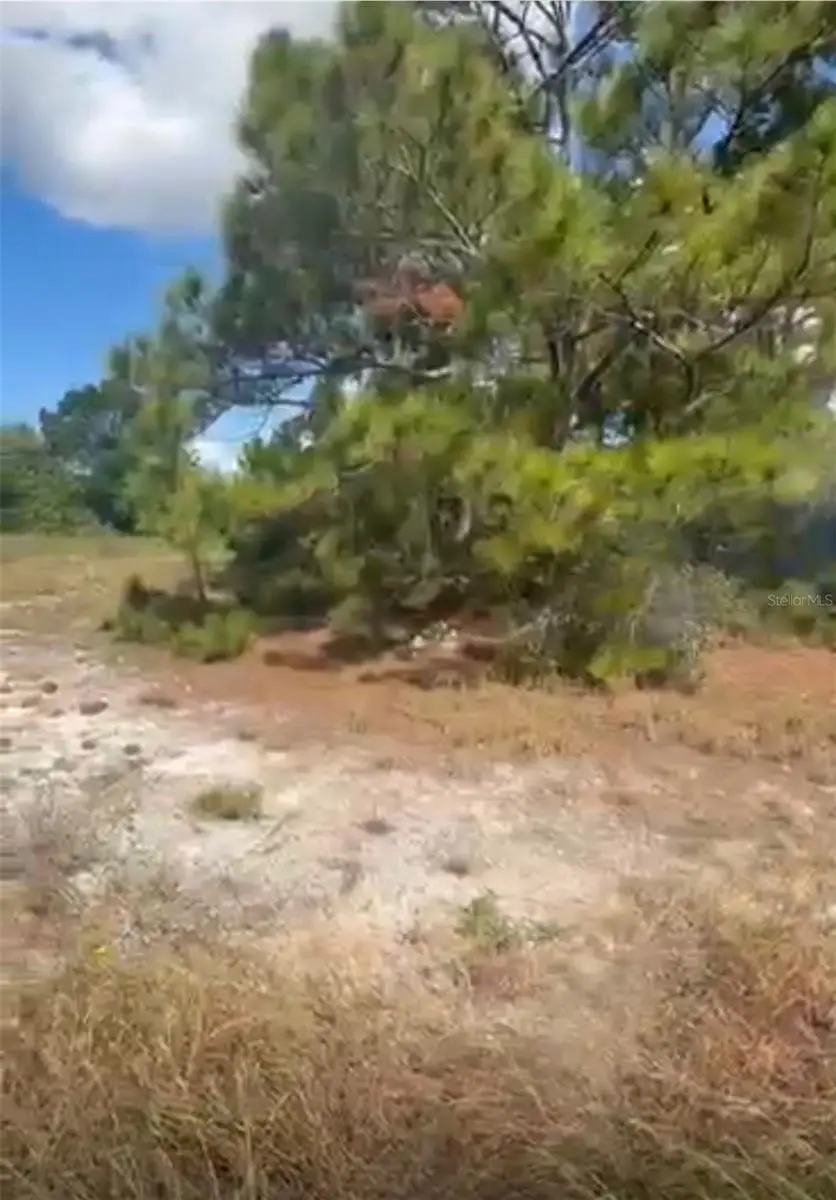 334 Sun Court, Lake Placid, FL 33852 - Image #2