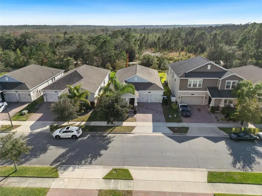 10264 Lovegrass Lane, Orlando, FL 32832 - Image #2