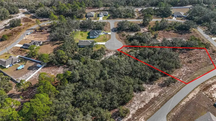 320 Bowfin Lane, Poinciana, FL 34759 - Image #3