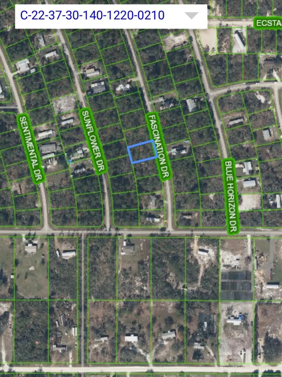 108 Fascination Drive, Lake Placid, FL 33852 - Image #3