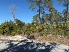 TBD Valimar, New Port Richey, FL 34654 - Image #1