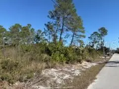 TBD Valimar, New Port Richey, FL 34654 - Image #3