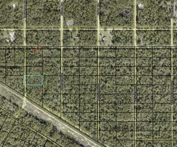 Beckenger Avenue, Hastings, FL 32145 - Image #3