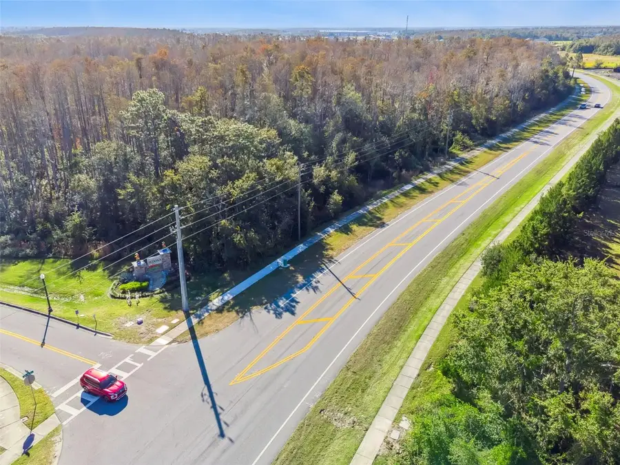 Ham Brown Road, Kissimmee, FL 34746 - Image #3