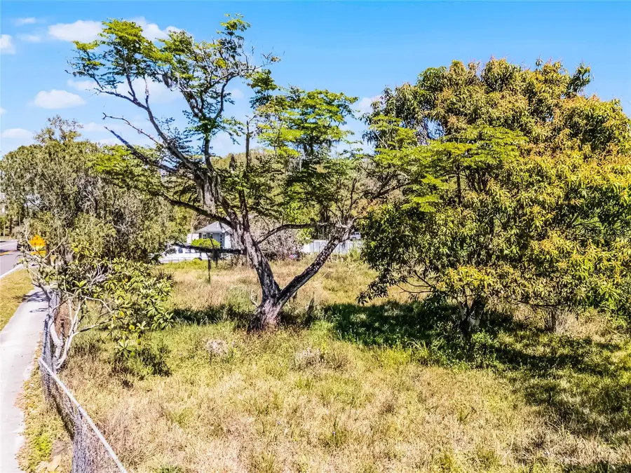 1359 Avalon Road, Winter Garden, FL 34787 - Image #3