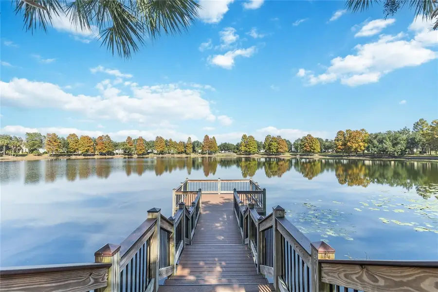 4345 Saltmarsh Sparrow Drive, Windermere, FL 34786 - Image #3