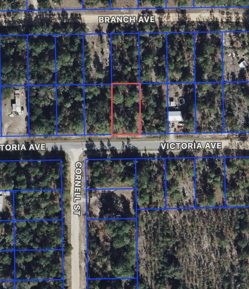 0 Unassigned, Interlachen, FL 32148 - Image #1