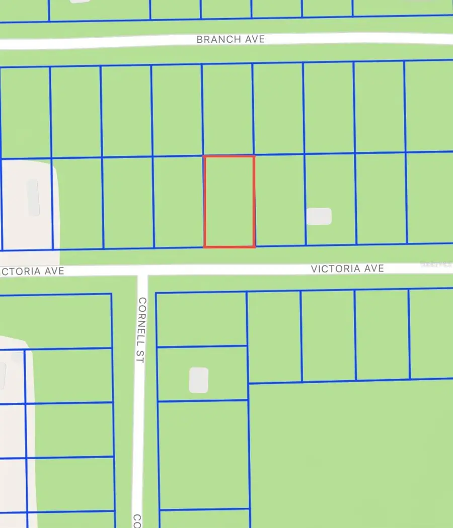 0 Unassigned, Interlachen, FL 32148 - Image #3