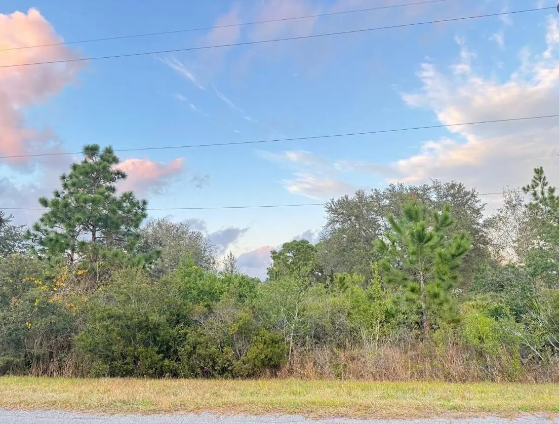 00 Robertson Street, Orlando, FL 32833 - Image #1