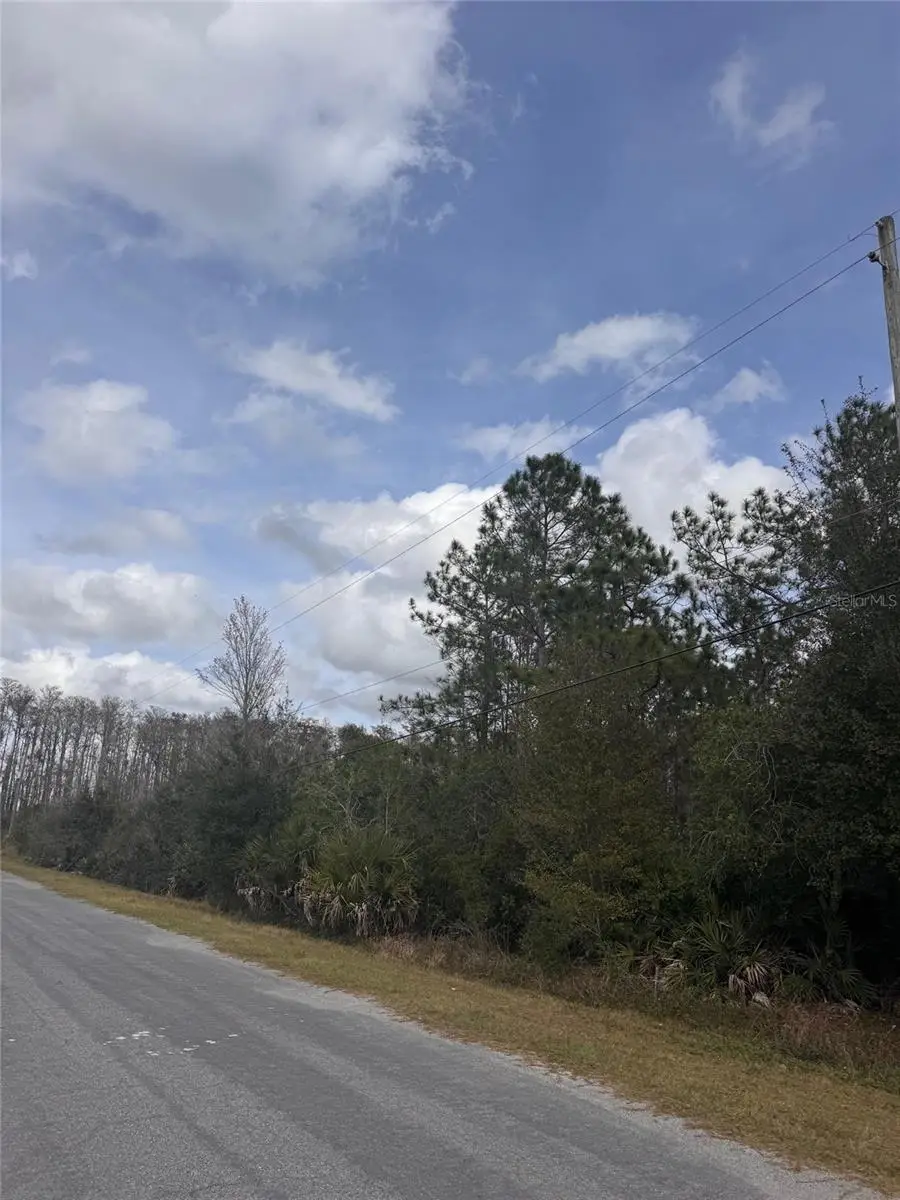 0 Coronet Avenue, Orlando, FL 32833 - Image #3