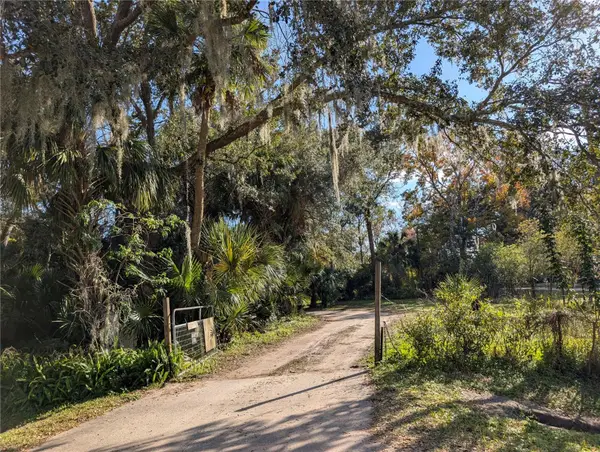 25314 Luke Street, CHRISTMAS, FL 32709