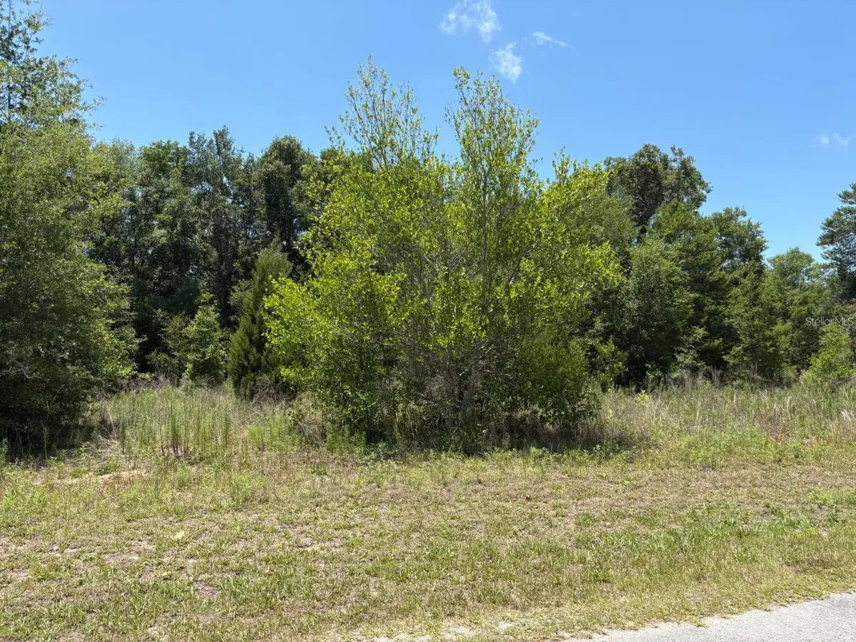 6642 N Flower Terrace, Hernando, FL 34442 - Image #1