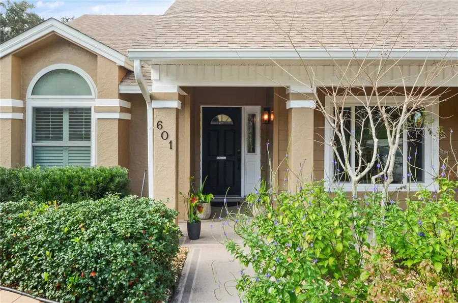 601 Chautauqua Drive, Mount Dora, FL 32757 - Image #3