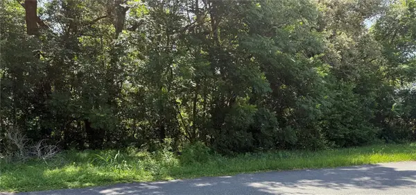 Hutchinson Way, LADY LAKE, FL 32159