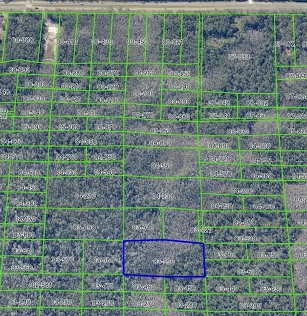 Dill Road, CHRISTMAS, FL 32709