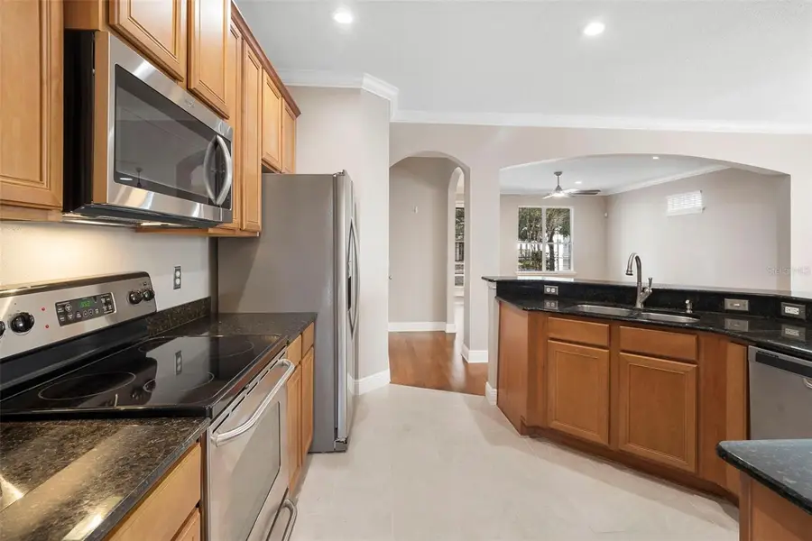 1809 Hammerlin Avenue, Winter Park, FL 32789 - Image #3