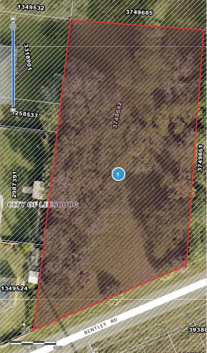 Bentley Road, Leesburg, FL 34748 - Image #3