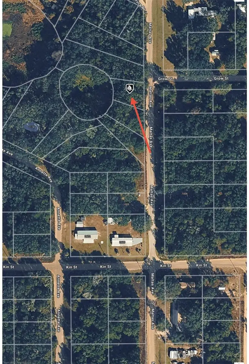 TBD Maltas Avenue, Interlachen, FL 32148 - Image #2